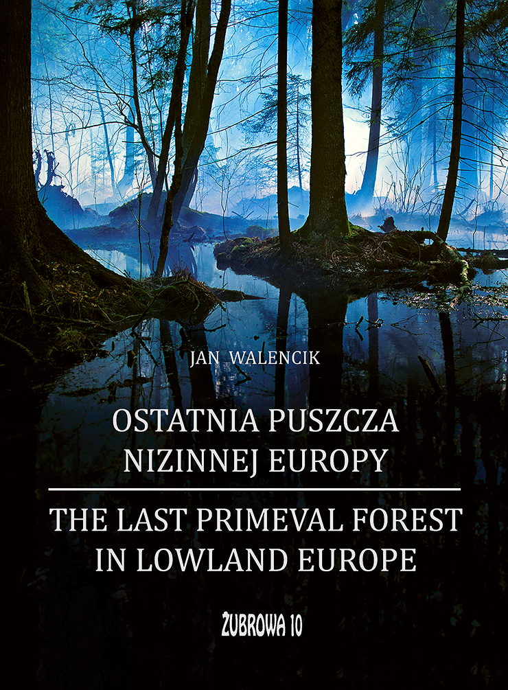 Okładka książki Ostatnia puszcz niżowej Europy, autor Jan Walencik.