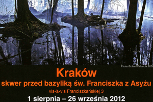 Wystawa Arbores vitae w Krakowie, przy Franciszkańskiej 4.