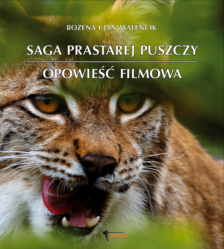 Okładka albumu Saga prastarej puszczy. Opowieść filmowa, autorzy: Bożena i Jan Walencik.
