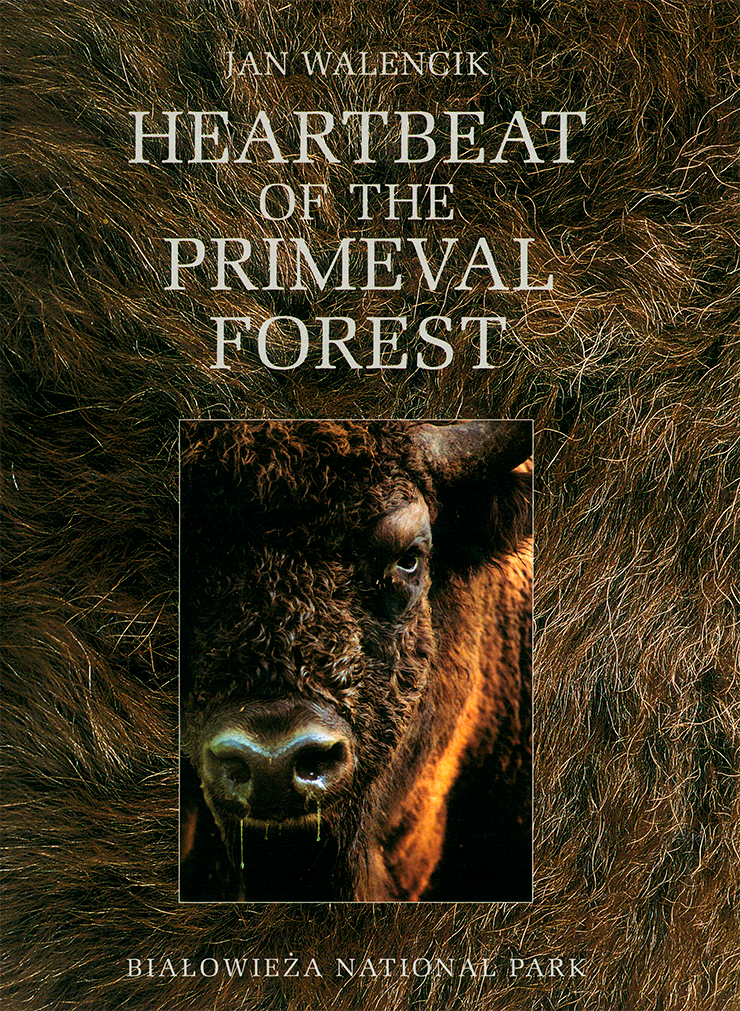 Cover of the album Heartbeat of the primeval forest, by Jan Walencik.