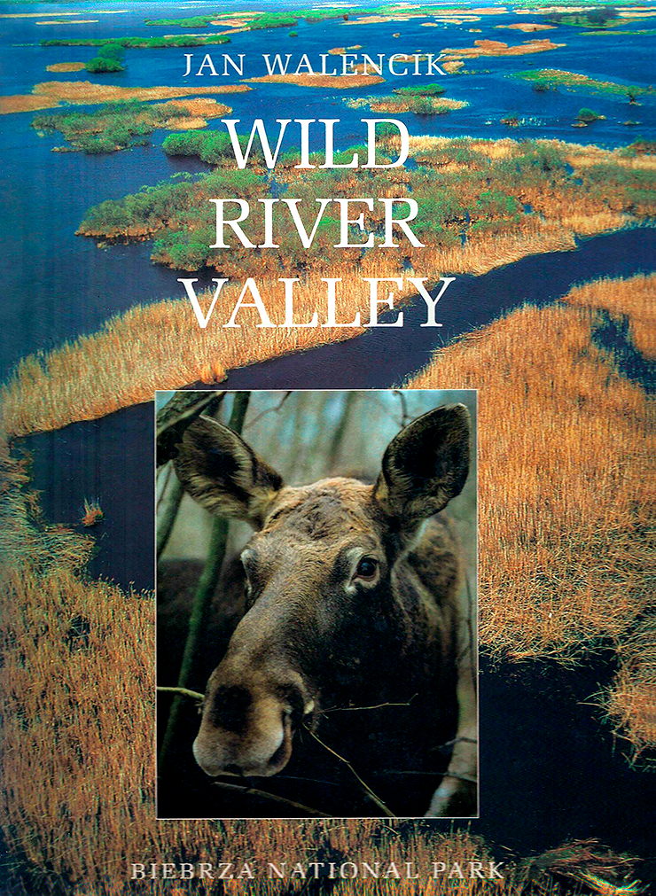 Cover of the album Wild River Valley, by Jan Walencik.