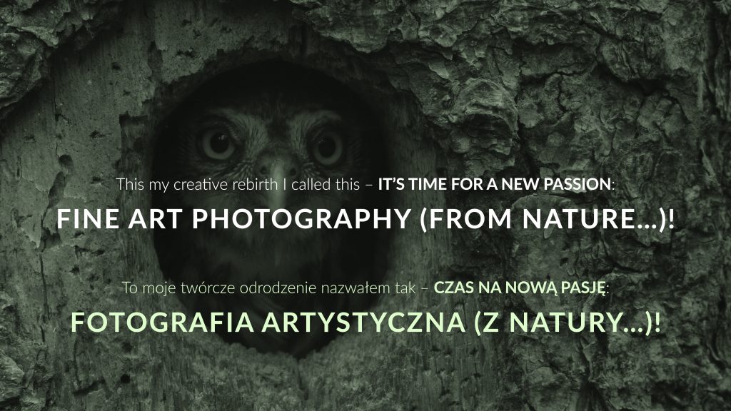 Baner. Na tle fotografii Puszczy Białowieskiej tekst PL/EN: …FINE ART PHOTOGRAPHY (FROM NATURE..)/…FOTOGRAFIA ARTYSTYCZNA (Z NATURY…).